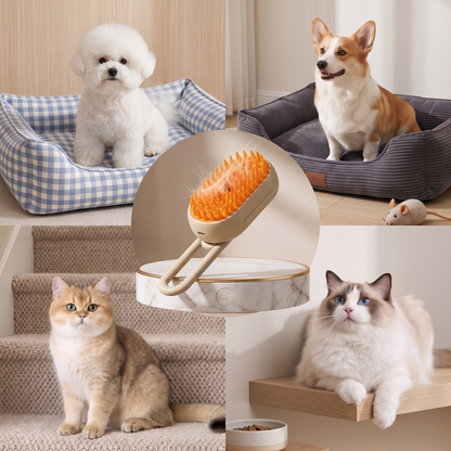 3-in-1 Brush - Brushes, massages, and moisturizes